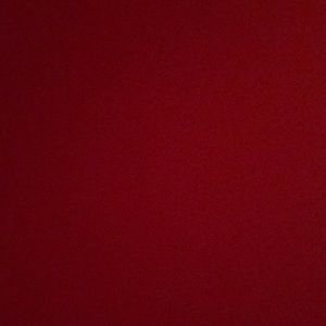 Meet your Posher, Mikayla